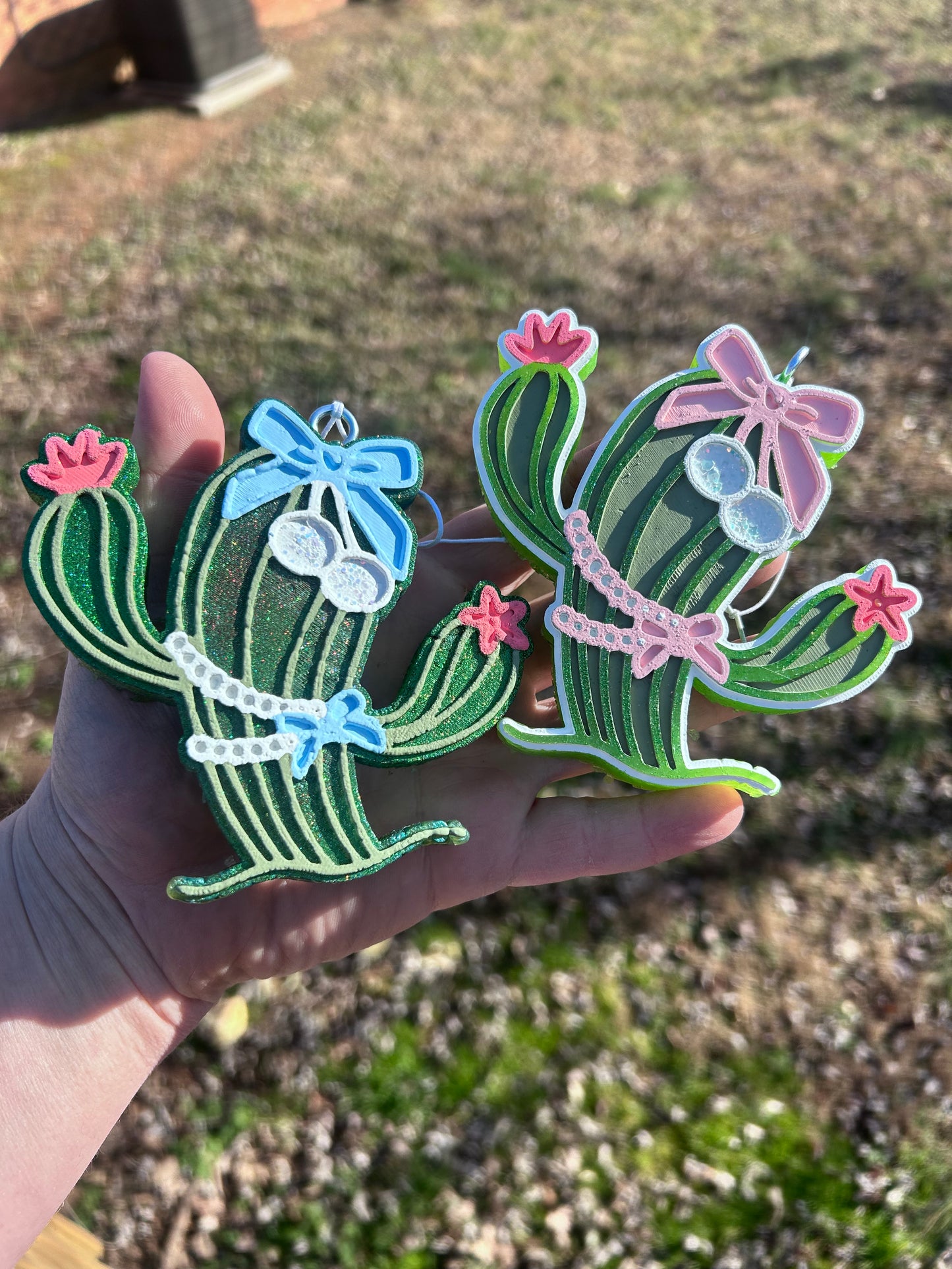 Coquette Cactus freshie