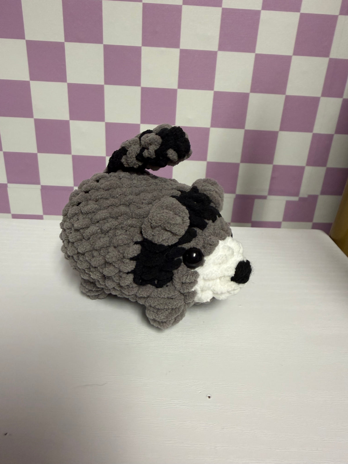 Mystery Pocket Pet