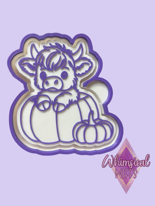 Highland in a pumpkin Mold