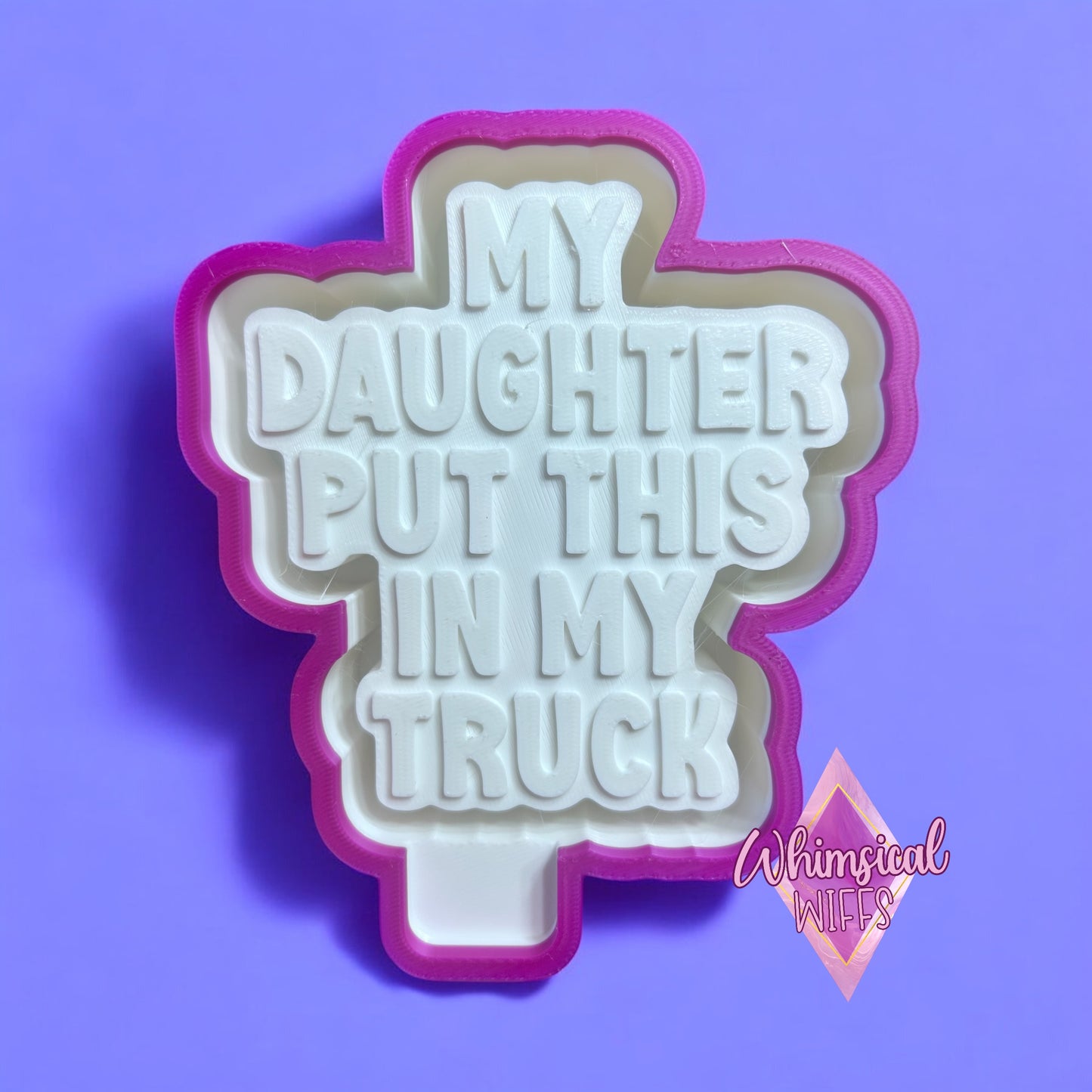 My daughter put this in my truck Mold