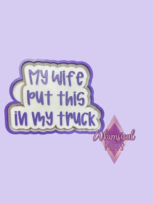 My wife put this in my truck Mold
